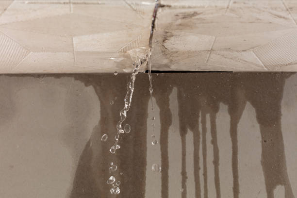 Professional Water Damage Repair technician working in Celeste, TX